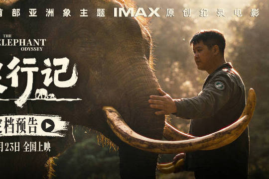 纪录电影《象行记》定档10月23日全国上映 亚洲象“北上南归”之旅将首登大银幕